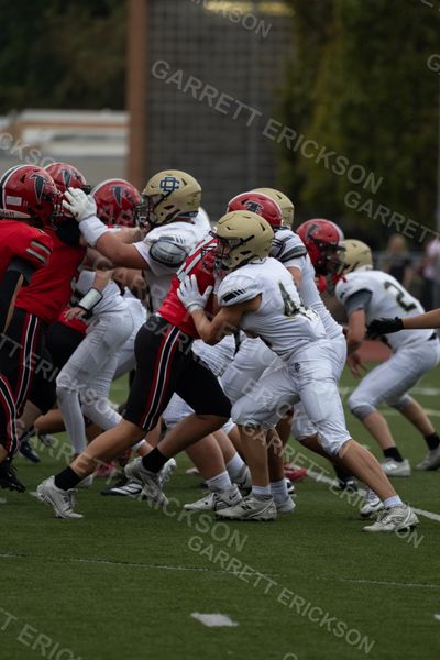 Detroit Country Day JV Football vs DCHS, football photo 29