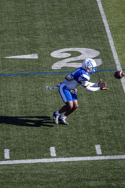 Lawrence Tech Football vs Saint Francis, football photo 1