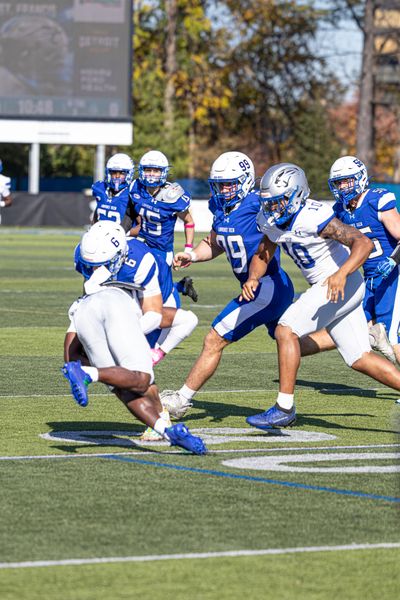 Lawrence Tech Football vs Saint Francis, football photo 6
