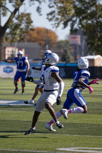 Lawrence Tech Football vs Saint Francis, football photo 16