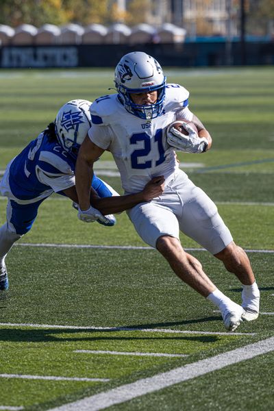 Lawrence Tech Football vs Saint Francis, football photo 20