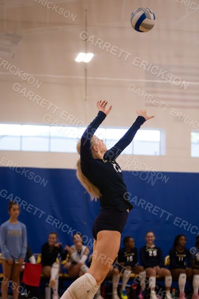 Detroit Country Day Volleyball, volleyball photo 8